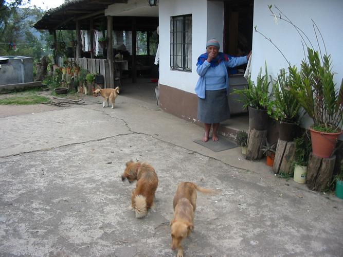 tn_chiens_maman.jpg