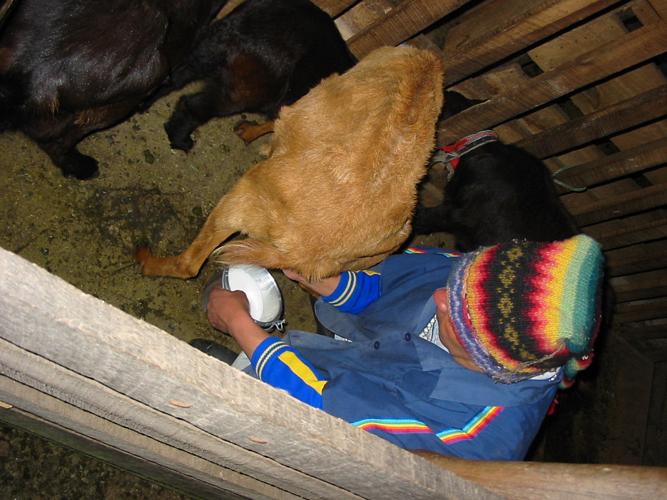 tn_lait_de_chevre.jpg